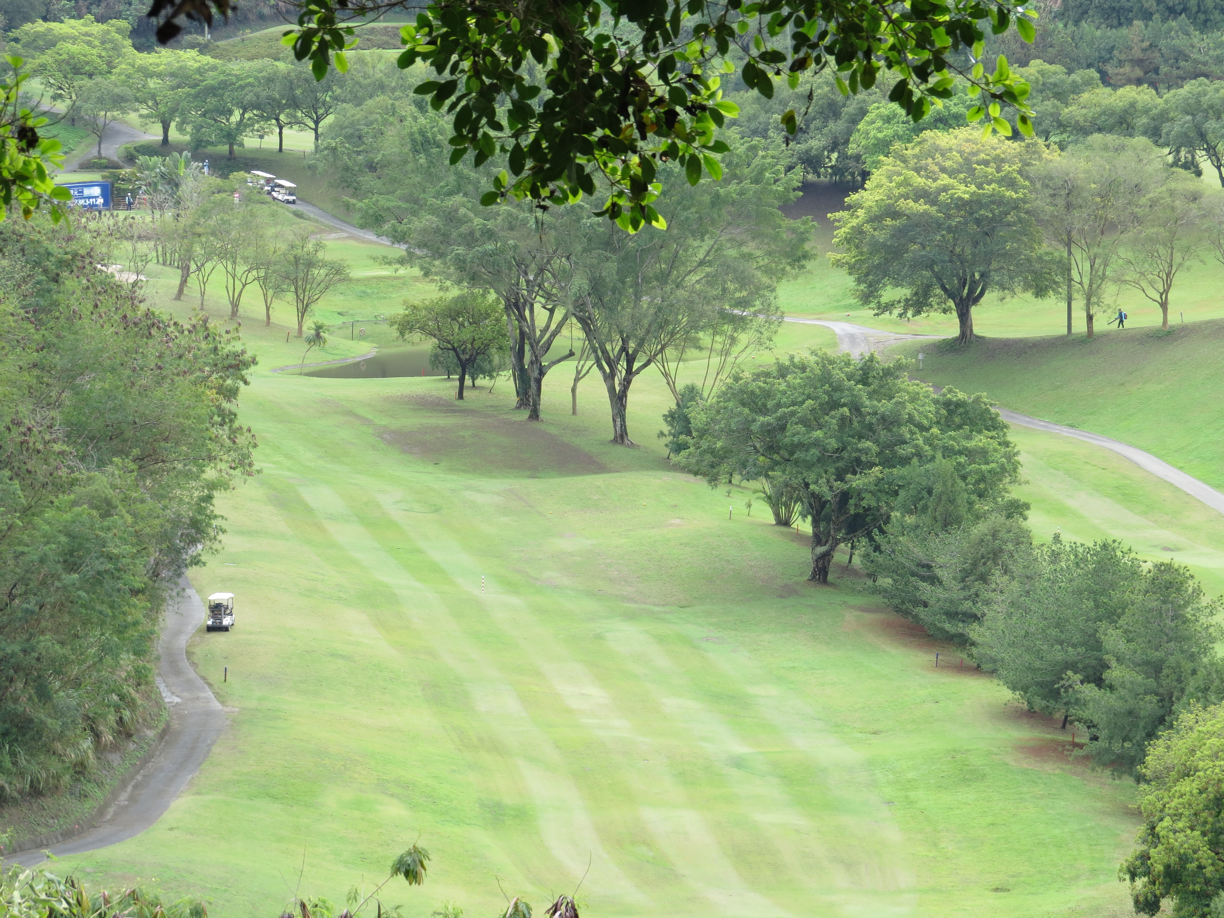 球場規格與設計特色