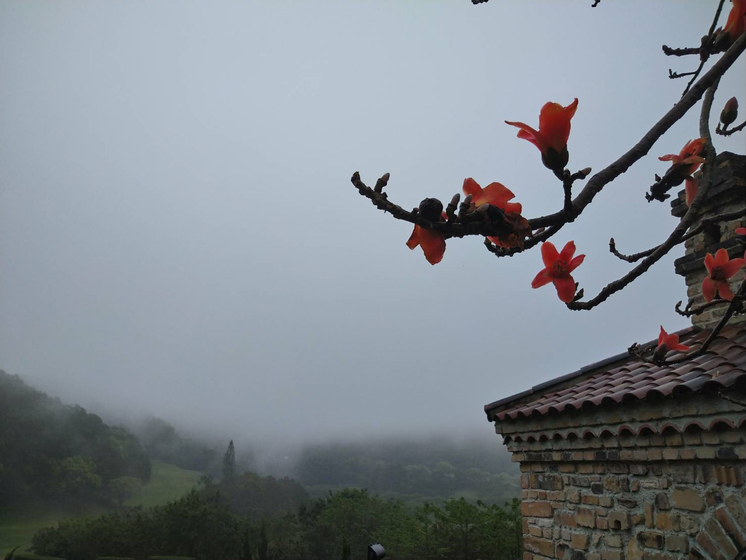 2025/12/31/交通管制